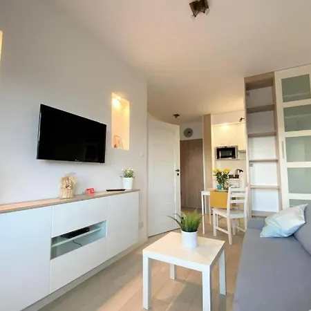 דירה Homely With Balcony - 3 Km To Baltic Sea גדנסק
